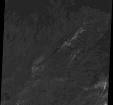 [Landsat 7 band 2.(grayscale)]
