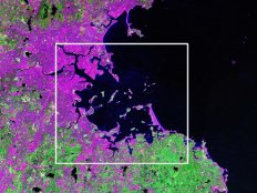 [EarthSat color composite Boston MA.Click to enlarge.]